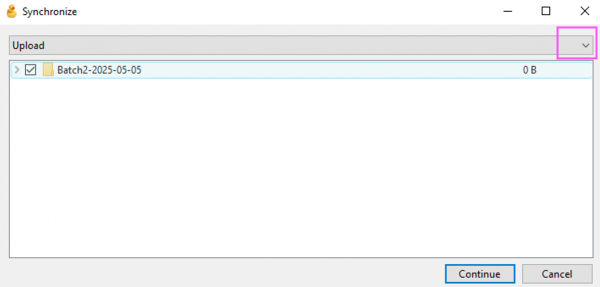 Cyberduck Sync Setting